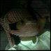 سالب الطايف(الحويه) (@sssss5_18) Twitter profile photo سالب الطايف(الحويه) (@sssss5_18) Twitter profile photo