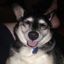 Paula Fortner - @pbbest912 - Twitter