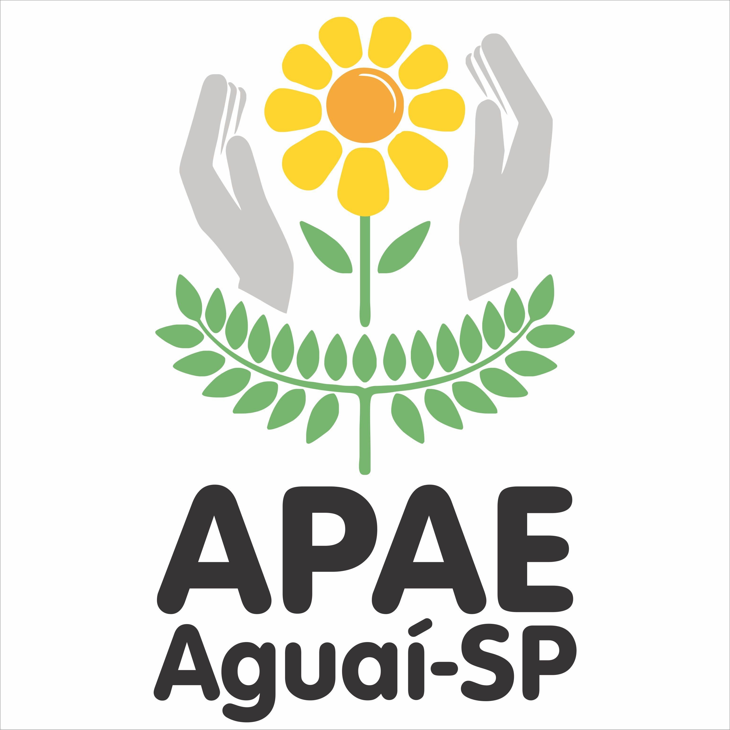 APAEAguai's profile picture. Rua Assendelft, 507 - Bairro Cidade Nova - (19) 3652-1708