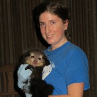 Annie Loggins (@quollemur) 's Twitter Profile