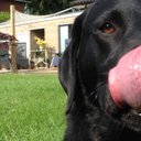 graham drew - @s600merc - Twitter