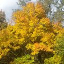 Cameron Womack - @camerondce - Twitter