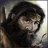 pizoo0's profile image