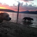 Karen Hertel - @HertelKaren - Twitter