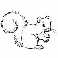 Hey TSU students, GossipSquirrel here, your one and only source into the scandalous lives of the quad's rodent elite. You know you love me. XOXO GossipSquirrel