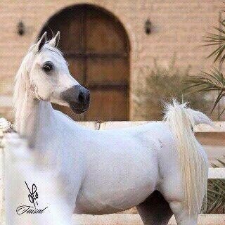 اللهم أرزقنا راحة القلب وصفاء البال وهدوء النفس والرضا يا الله❤❤