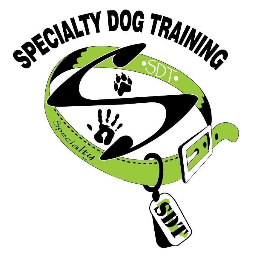 San Diego's Elite Dog Training Company. Certified, Licensed, 18+ years of combined dog training experience. Custom tailored to you and your dog.