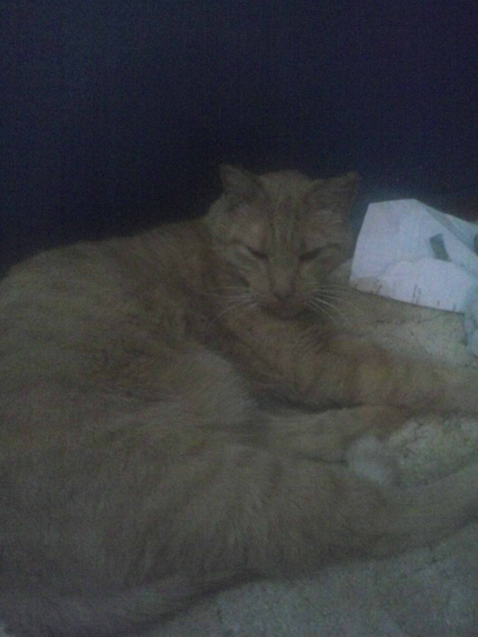 keegster85555's profile picture. 