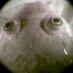Nicolas Pollet (@nnpollet) Twitter profile photo Nicolas Pollet (@nnpollet) Twitter profile photo