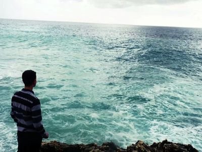 joseramon1395's profile picture. blood, sweat and tears