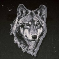 gök yeleli bozkurt (@adrrenalinn) Twitter profile photo