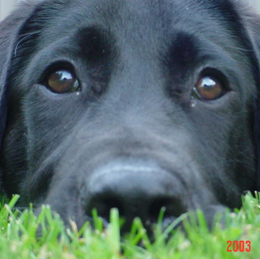 RenewedMedia's profile picture. 