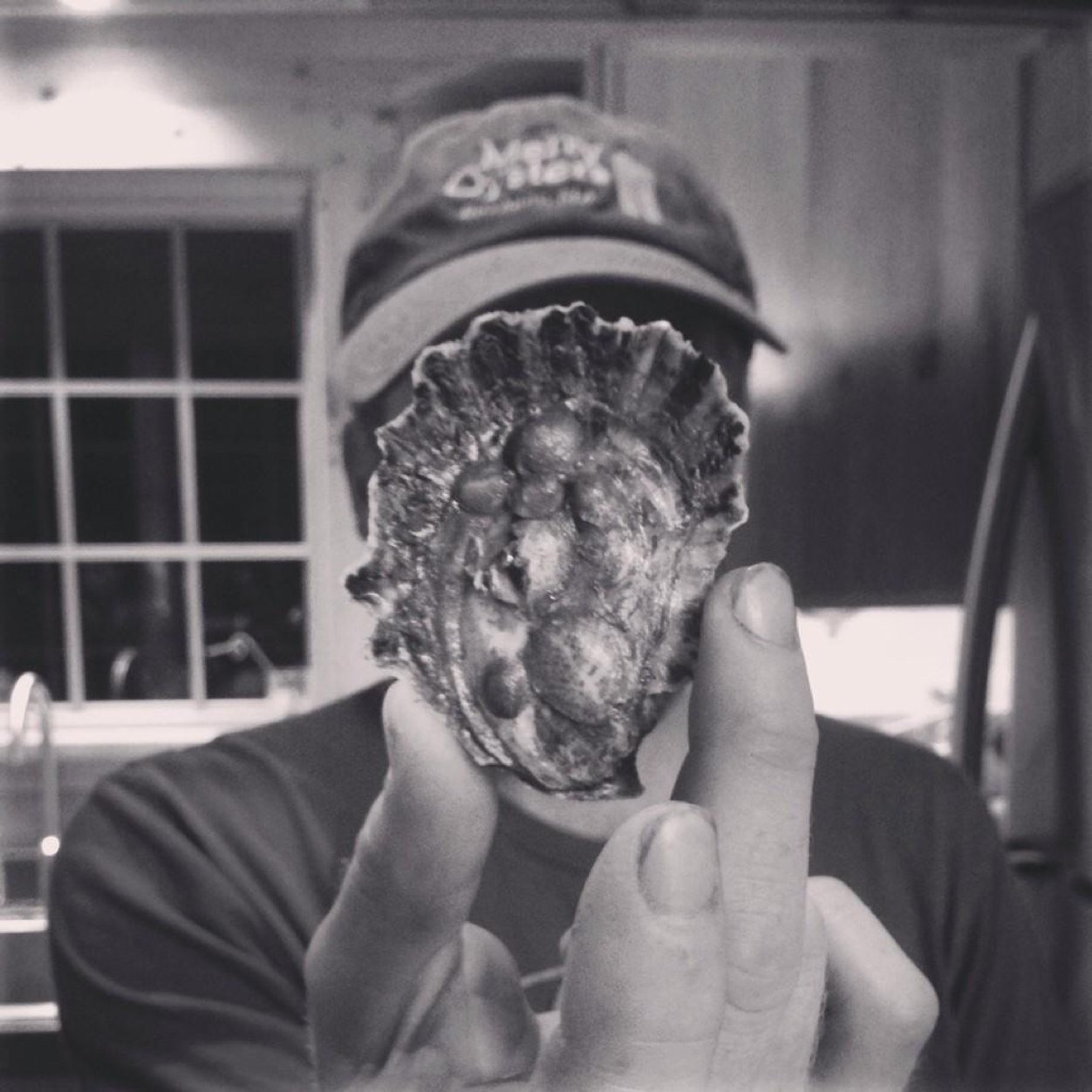 Oysters. Weather. Photos.
