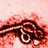 Ebola