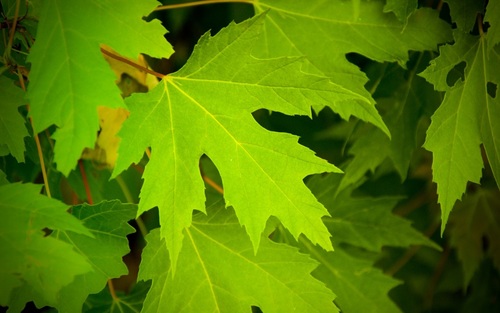 TawfikMd's profile picture. Hobbyist photographer, engineer, pun-loving, dessert and cycling enthusiast.