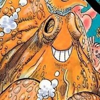 Surume! (@krakenop) 's Twitter Profile