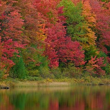 sherlynnblue's profile picture. I love music, art and reading and writing. I write fan fic stories and poetry.