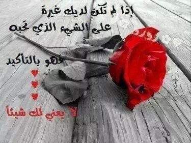 ‏‏الطائر الحزين