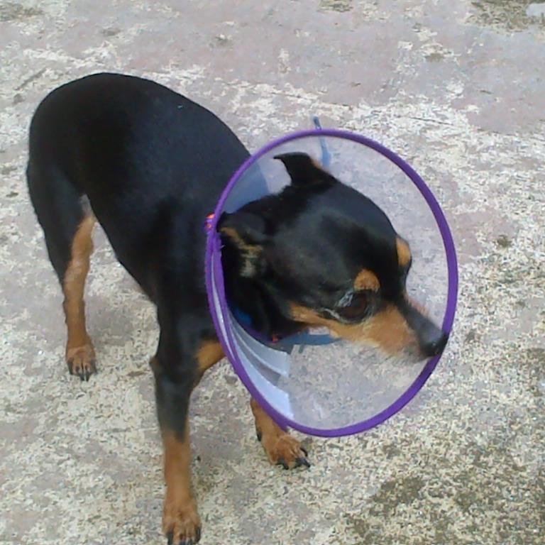 andresf_lara's profile picture. 