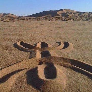 Timuzgha16's profile picture. 