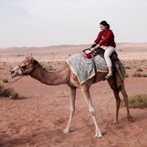 what_ellen_says's profile picture. Lawyer, introvert, culturally homeless Latina, aspiring dog lady. She/her.