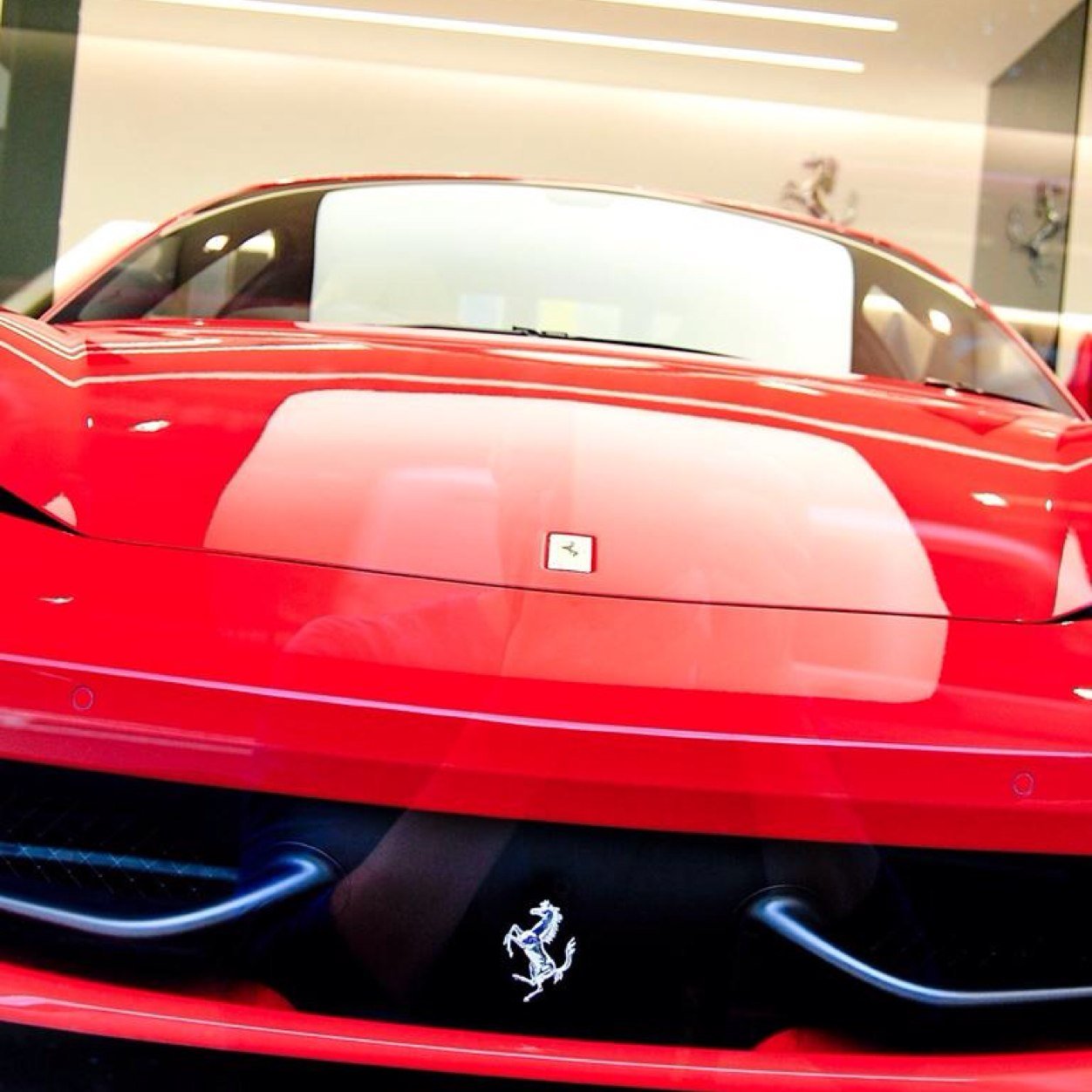 leviismostcool's profile picture. 