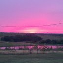 Pam Caswell - @texascrazy2006 - Twitter