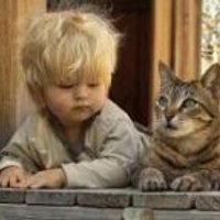 薬学たん (@lennard_zoya) 's Twitter Profile