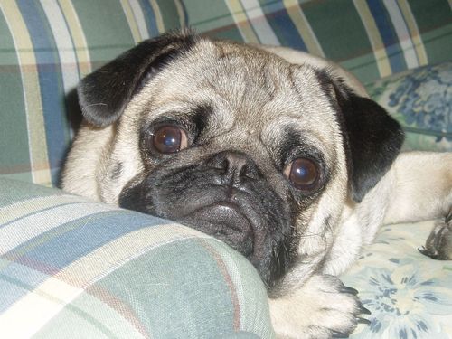 tmweissinger's profile picture. Certified public accountant
Partner at Seay & Weissinger, LLC
Ole Miss alum