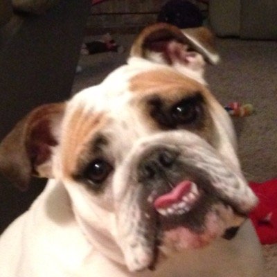 MFlowers5's profile picture. 