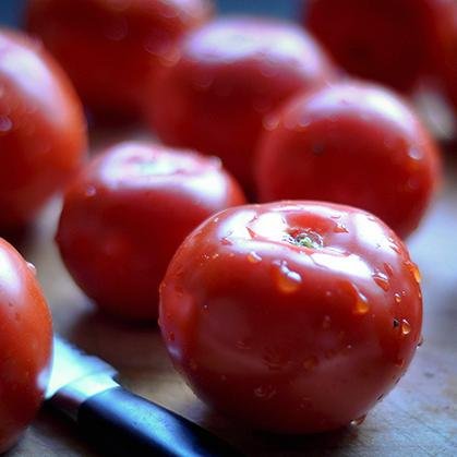 molinocreekfarm's profile picture. 