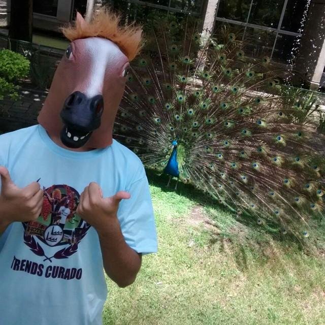Sempre atualizando os Curados com humor e informações. http://t.co/K7rV6v6b5G
http://t.co/vNnPMsJVZs