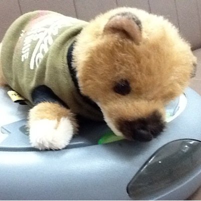 一の湯 Numa Ichinoyu Twitter 一の湯 Numa Ichinoyu Twitter