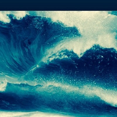 LSI_TSUNAMI's profile picture. New official twitter page of the La Salle Institute student section #ridethewave #moneyteam