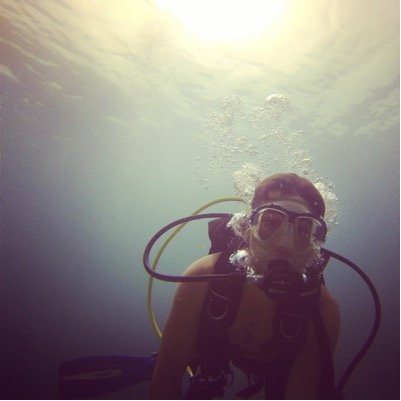 screwdapooch's profile picture. 