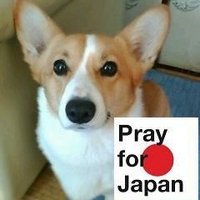 fulu🎸🇯🇵🍊🍥 (@furupin_ss) Twitter profile photo