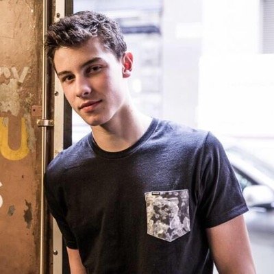 Since i took a few seconds to follow you, could you please follow @MENDESANTHEM ? It would mean the world to me ! :)