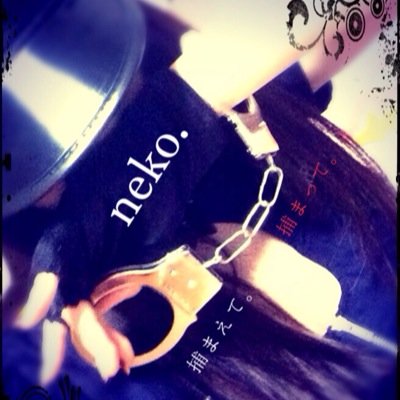 ねこ•́ι_•̀ cas.nanaさんのプロフィール画像