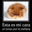 andres (@11andres07) Twitter