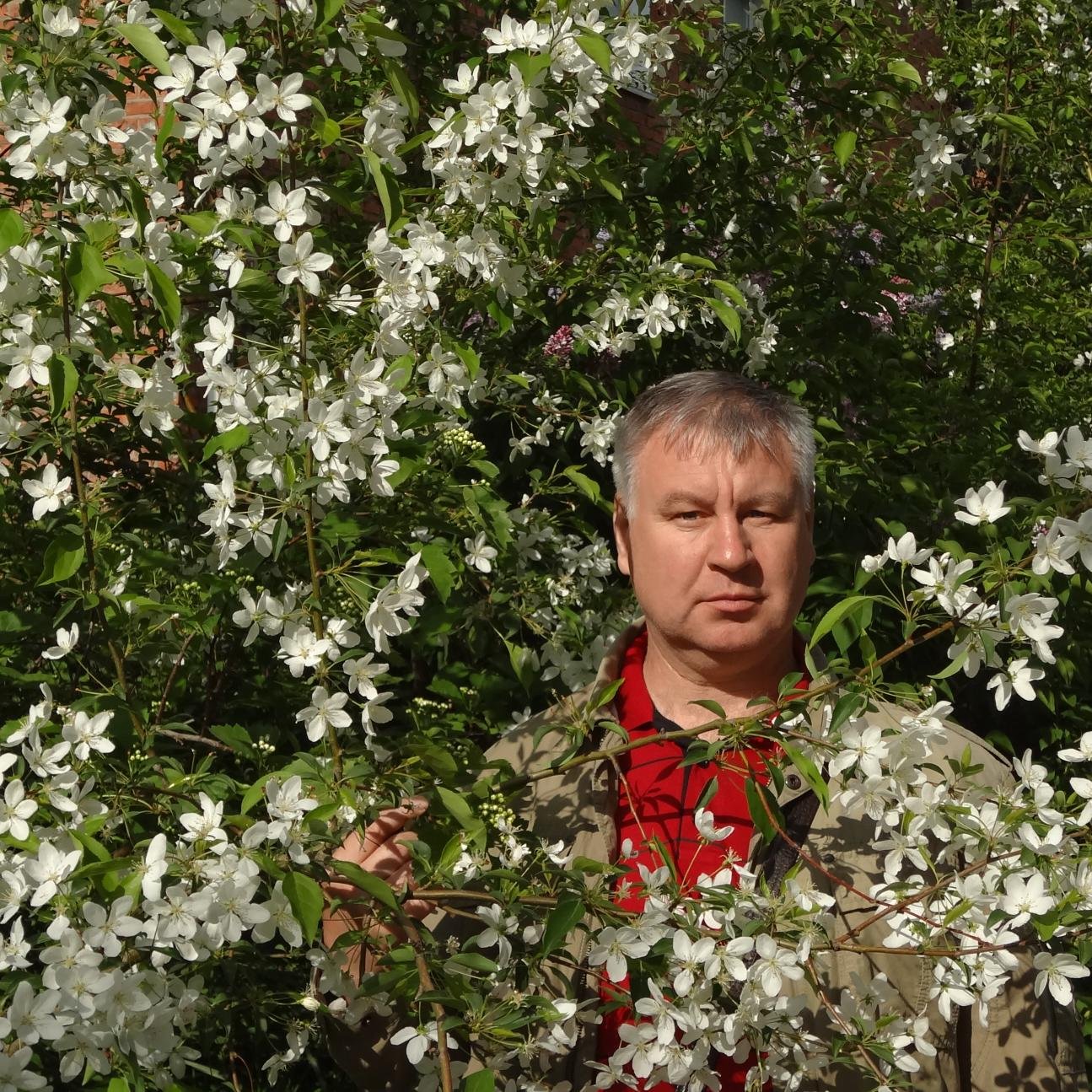 monolitik's profile picture. медитирую...