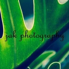 Professional Photographer specializing in nature photography.