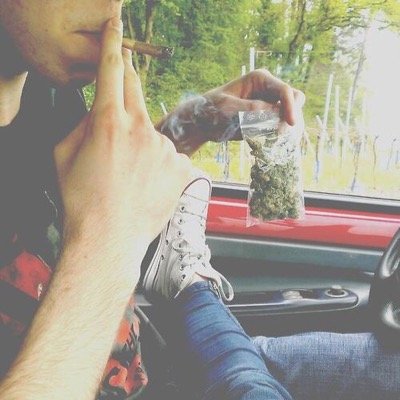 thosedamstoners's profile picture. wait, what?