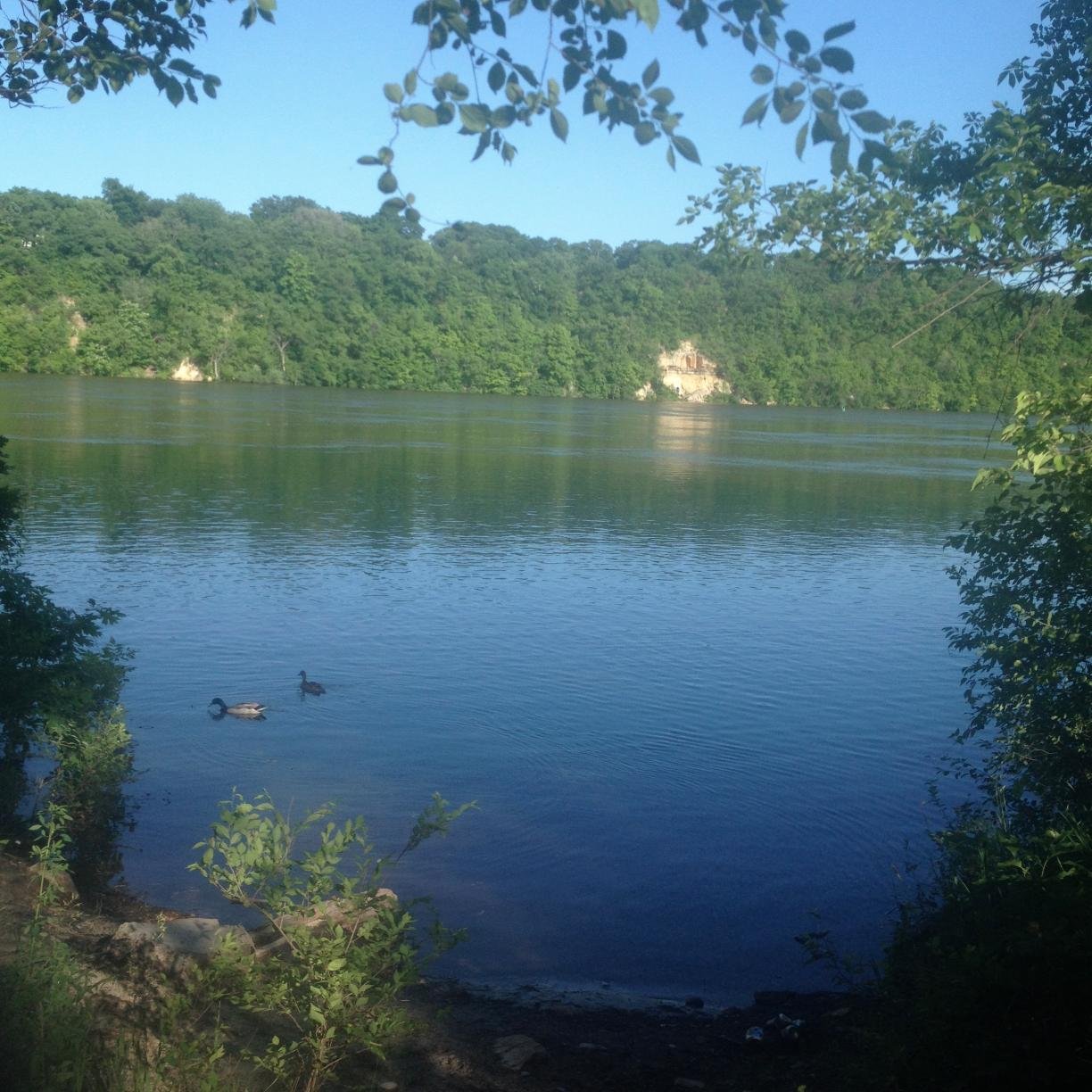 HClineUMN's profile picture. Licensed Parent Educator, University of Minnesota Instructor in Parent & Family Education, Ph.D. in Curriculum & Instruction - Family, Youth & Community