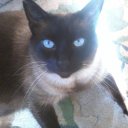 Joan Cottrell - @invaderjmc - Twitter