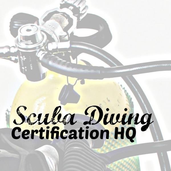 scubadivingcert's profile picture. Your Ultimate Resource in Scuba Diving Certification