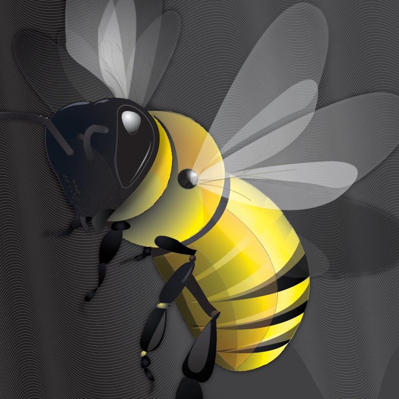 Freelance design service specializing in creative thinking, graphic design, website development.