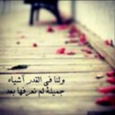 من حقي افتخر‏​ واتباها بالاشعار دامني شريفة وعزوتي هاشمية..