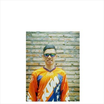 universitas diponegoro