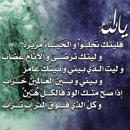 alelmalnafi Profile Picture
