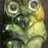 ataeraj's profile image
